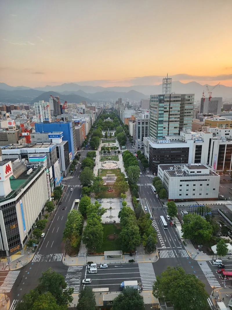 Odori Park and central Sapporo seen from Sapporo TV Tower