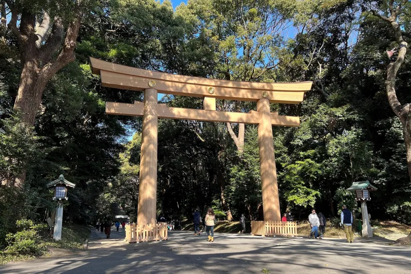 东京明治神宫南参道的鸟居和树木