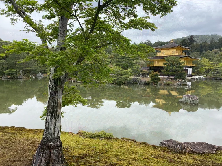 Kinkaku-ji, Kyoto