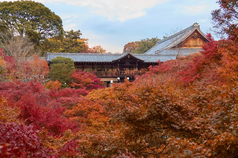 Autumn foliage at Tofuku-ji, Kyoto