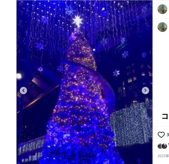 An unexpected tree in Shinjuku — Haruru’s photograph