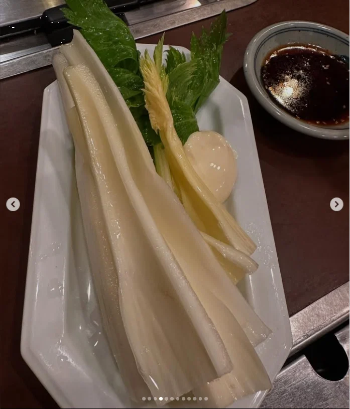 お腹いっぱい食べて、帰りは電車へ — ハルルの写真