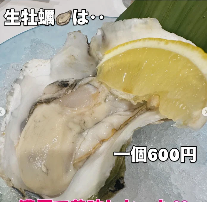 寿司之外,还加了几道小食 — Haruru 的照片