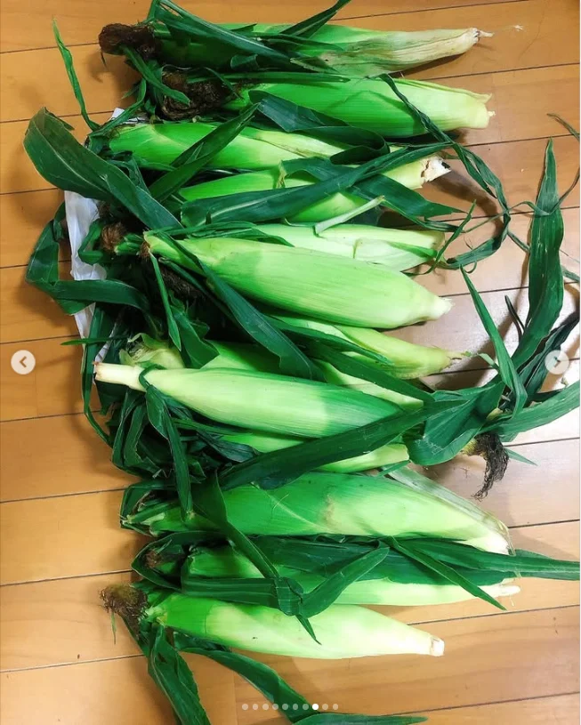 Sweet corn and a memorable bowl of himokawa udon — Haruru’s photograph