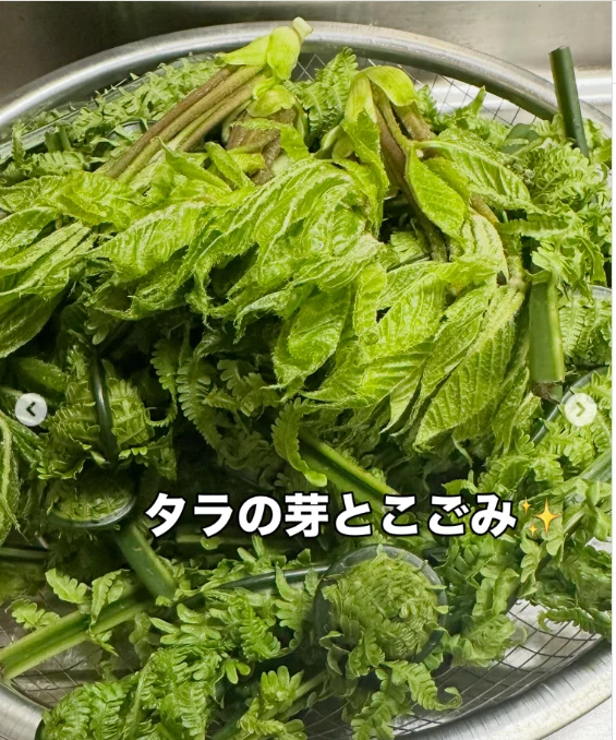 料理写真に添えた、短い名前や言葉 — ハルルの写真