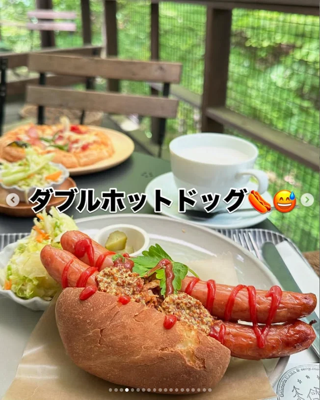 An early start and breakfast among the leaves — Haruru’s photograph