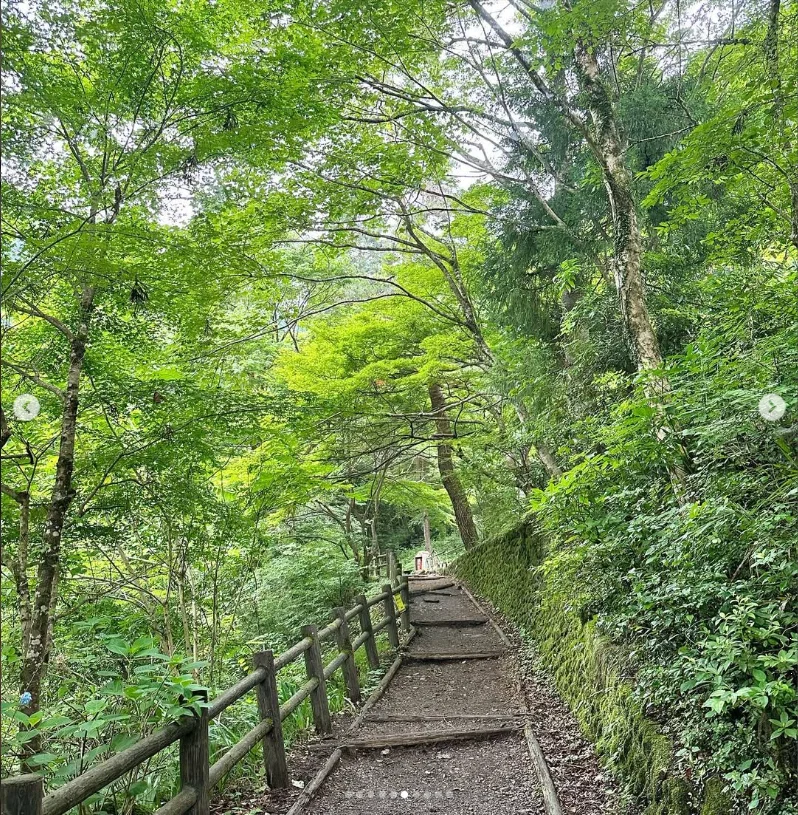 A green walk after the rain — Haruru’s photograph