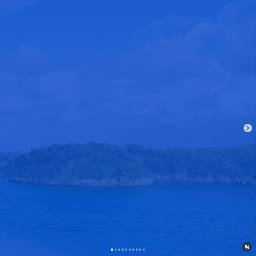 A quiet pause by the bay — Haruru’s photograph