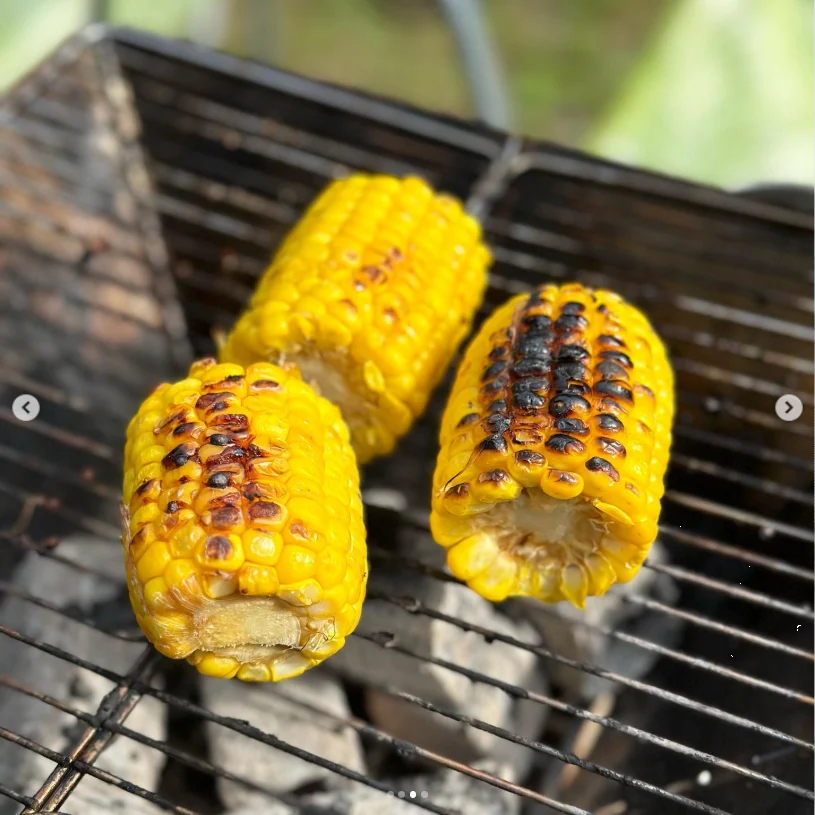 Three pieces of corn browning on a barbecue grill.