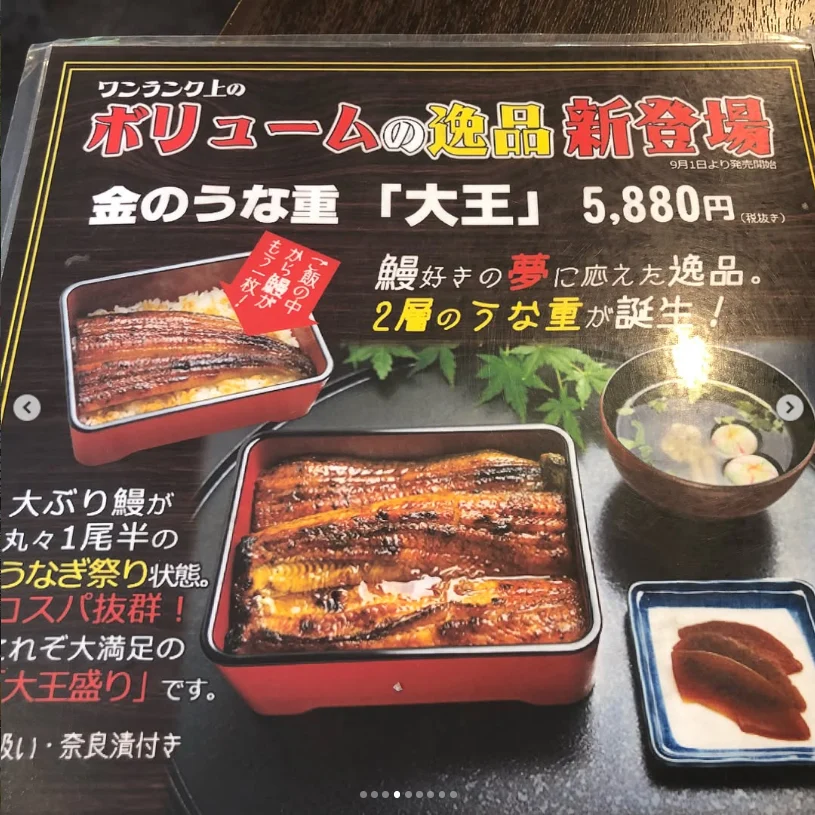 A two-layer eel lunch — Haruru’s photograph