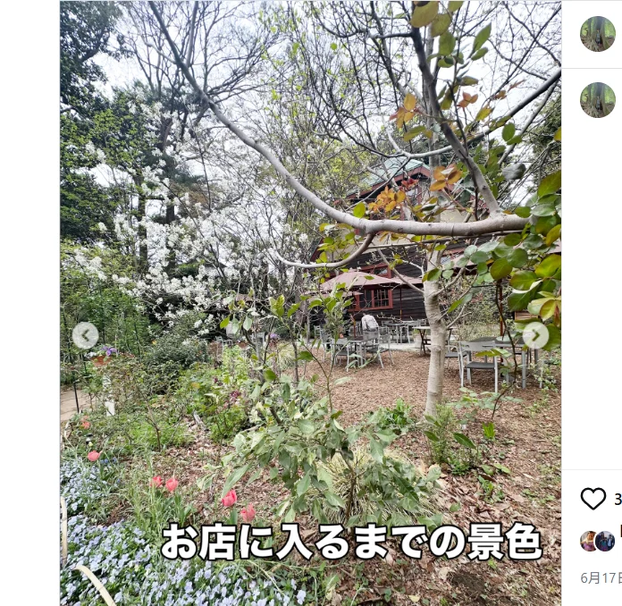 A friend’s recommendation, booked three months ahead — Haruru’s photograph