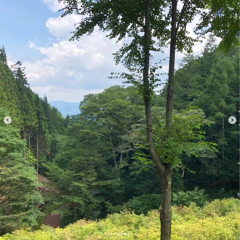 A first visit among the green trees — Haruru’s photograph