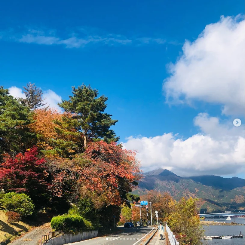 星期日，欣赏红叶与蓝天 — Haruru 的照片