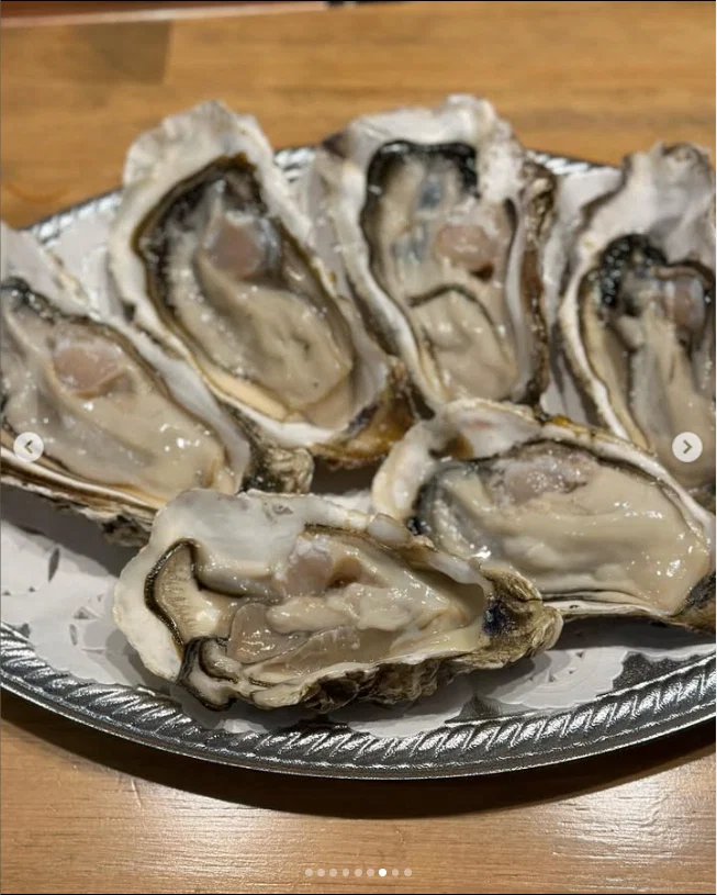 Shellfish beside a forest terrace — Haruru’s photograph