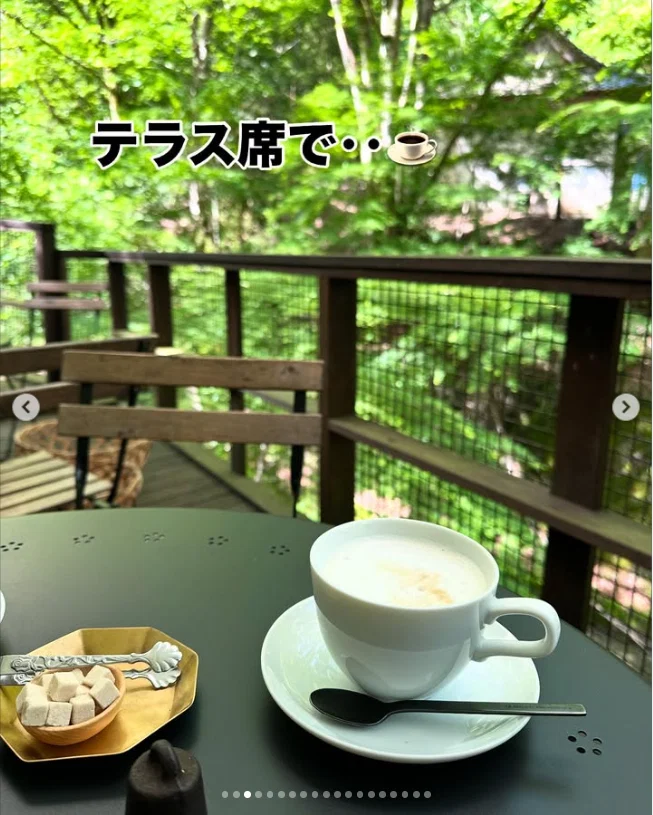 An early start and breakfast among the leaves — Haruru’s photograph