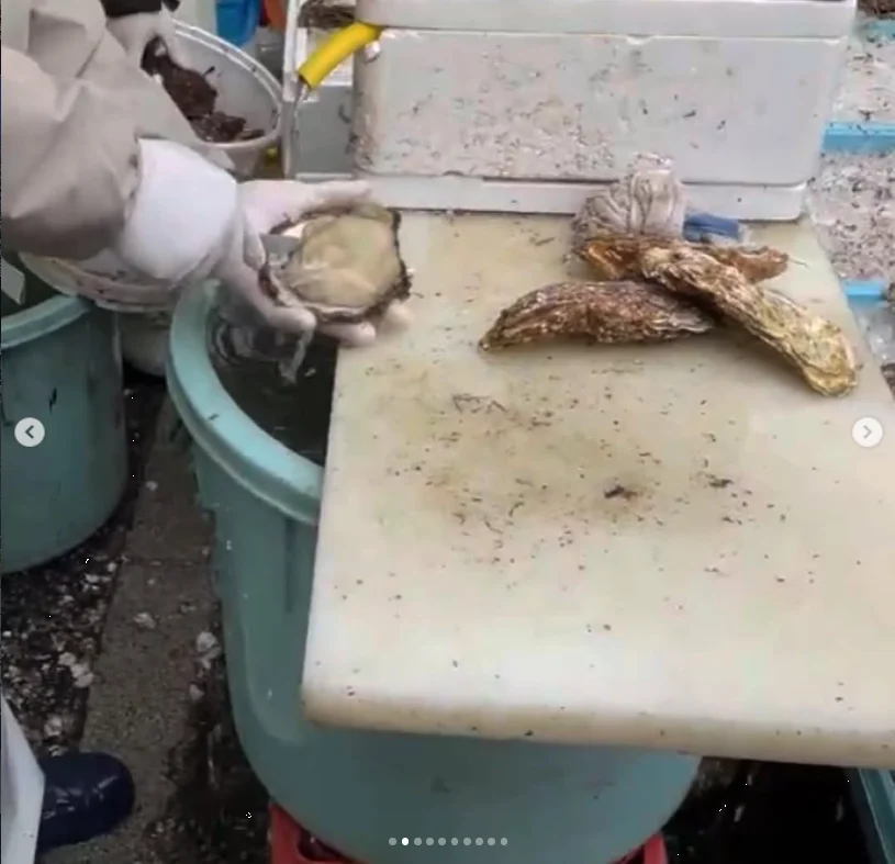 Oysters and conveyor-belt sushi at Nakaminato — Haruru’s photograph