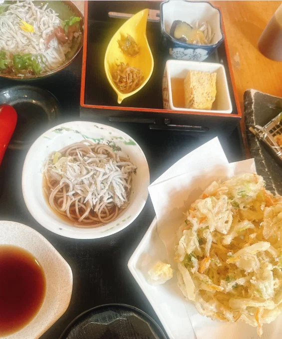帰る前に、しらすの食事 — ハルルの写真