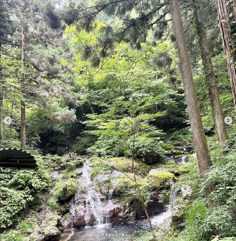 A green walk after the rain — Haruru’s photograph