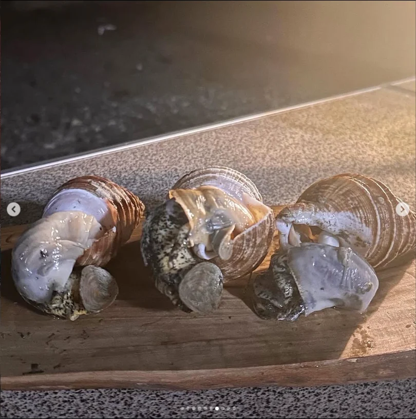 Seafood and grilled food made a full meal — Haruru’s photograph
