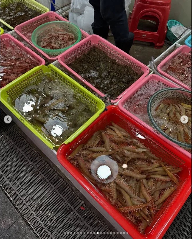 食後の市場で、料理とは違う驚き — ハルルの写真
