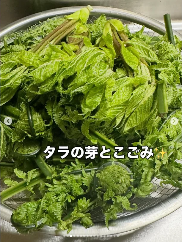  — ハルルの写真