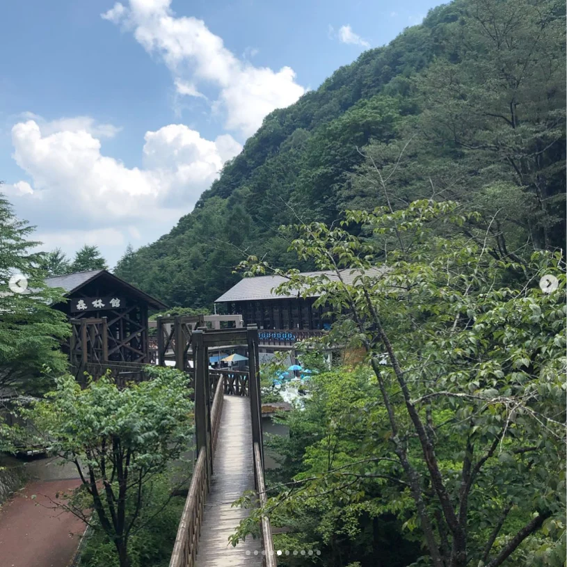 A first visit among the green trees — Haruru’s photograph