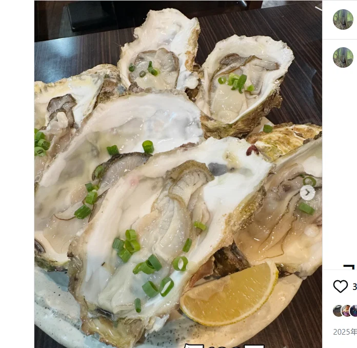 Oysters worth returning for — Haruru’s photograph