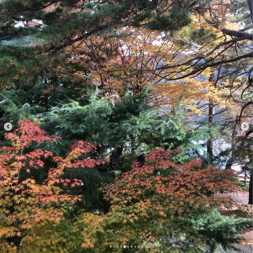 星期日，欣赏红叶与蓝天 — Haruru 的照片