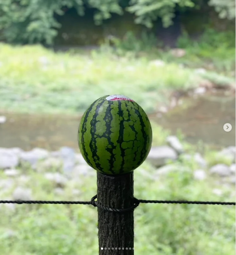 Fireworks, cards and a watermelon photograph — Haruru’s photograph
