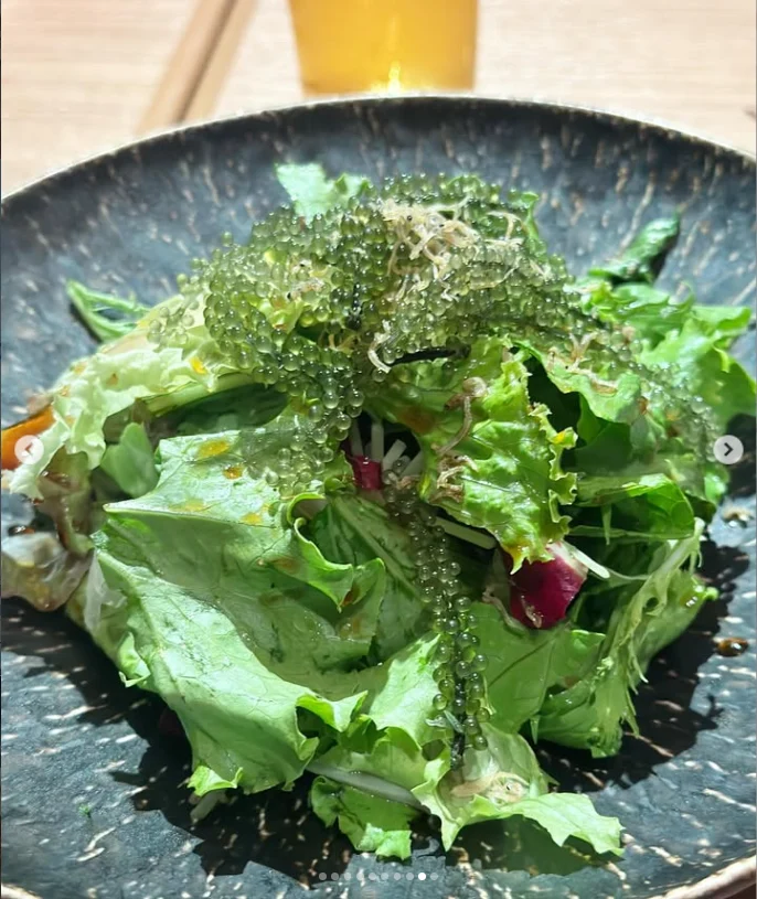 Shigira Gold Onsen and an evening at Saikai — Haruru’s photograph