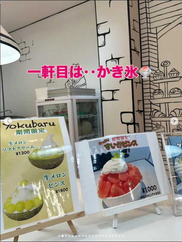 The first stop was shaved ice — Haruru’s photograph