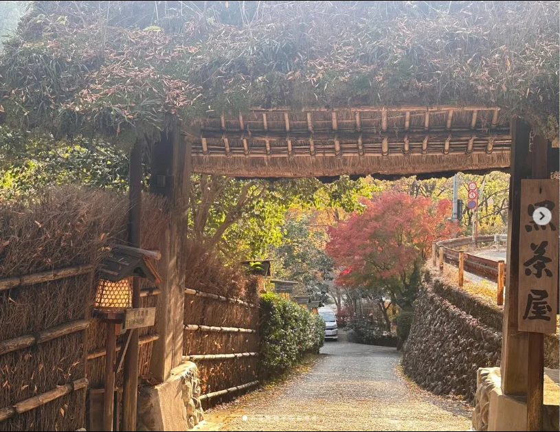 A familiar name, in autumn colours — Haruru’s photograph