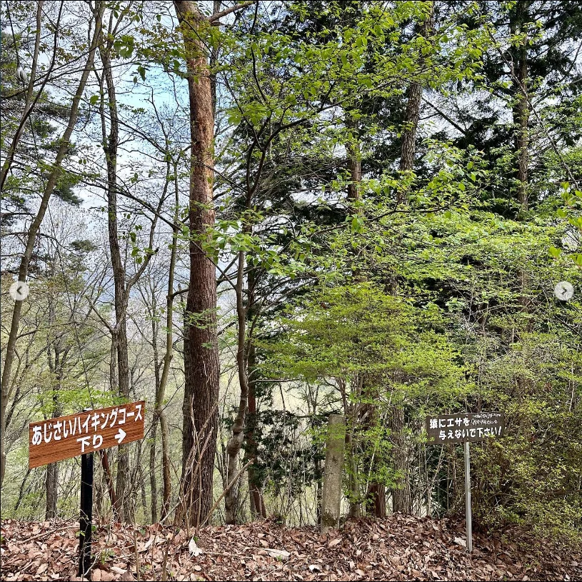 富士山を待った金時山と三ツ峠。山歩きのあとに食べて、温泉でひと休み — ハルルの写真