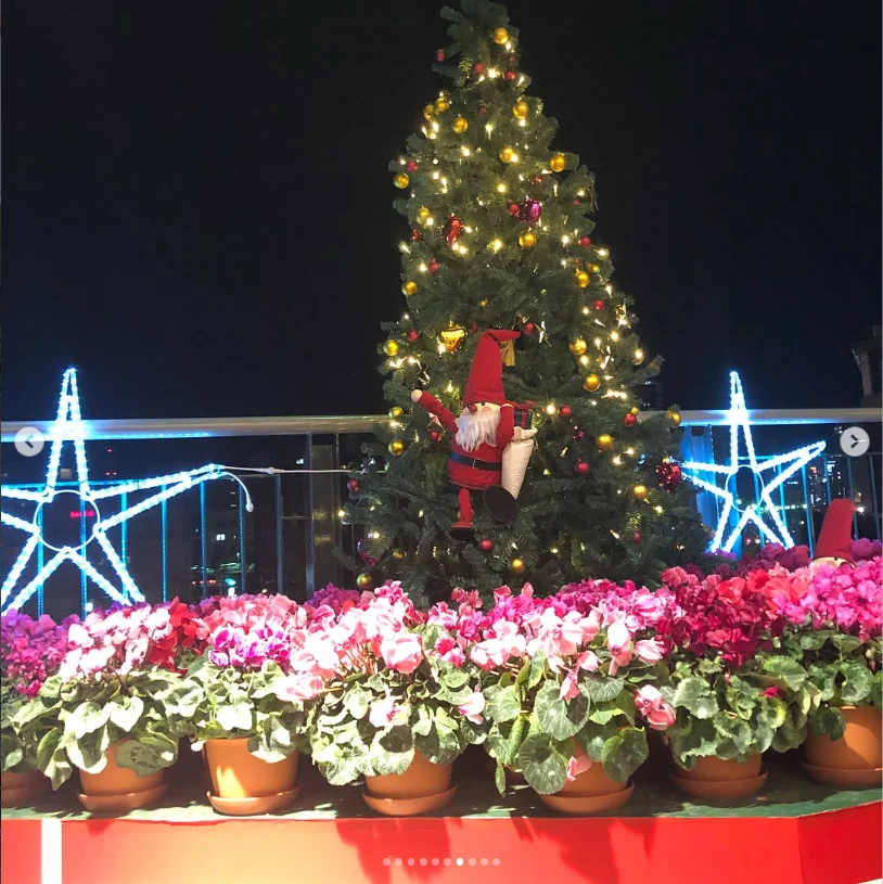 Christmas lights, shopping and an unexpected finish — Haruru’s photograph