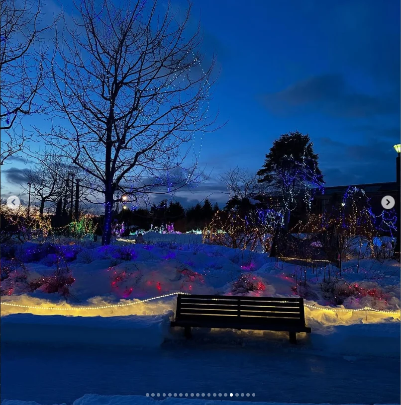Snow, small lights and a lantern-lined alley — Haruru’s photograph