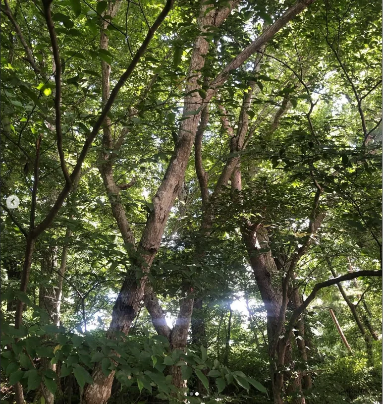A break at Michi-no-Eki Katsuyama — Haruru’s photograph