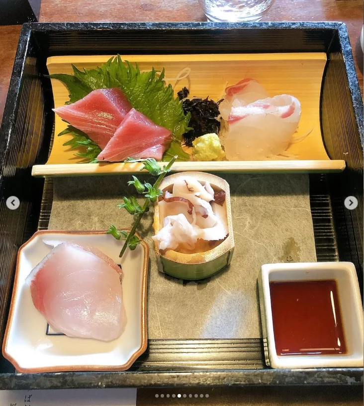 上野公園のしだれ桜と、韻松亭で旧友との昼食 — ハルルの写真
