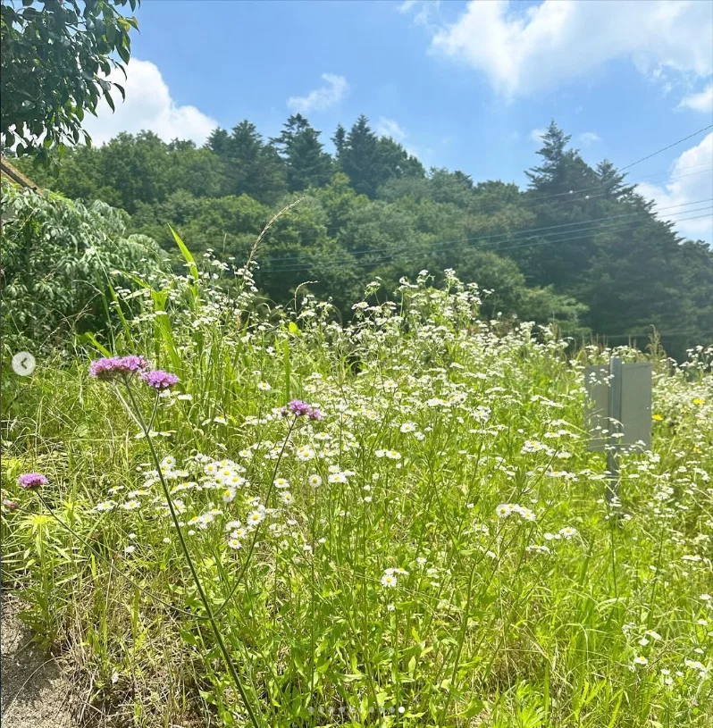 A detour that felt much longer — Haruru’s photograph