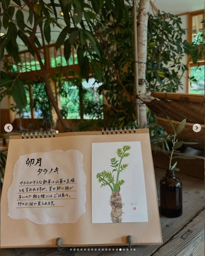 A handwritten Japanese note beside a botanical illustration and green indoor plants.