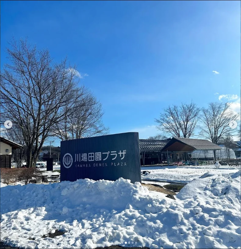 Strawberry picking and a brief shopping stop — Haruru’s photograph