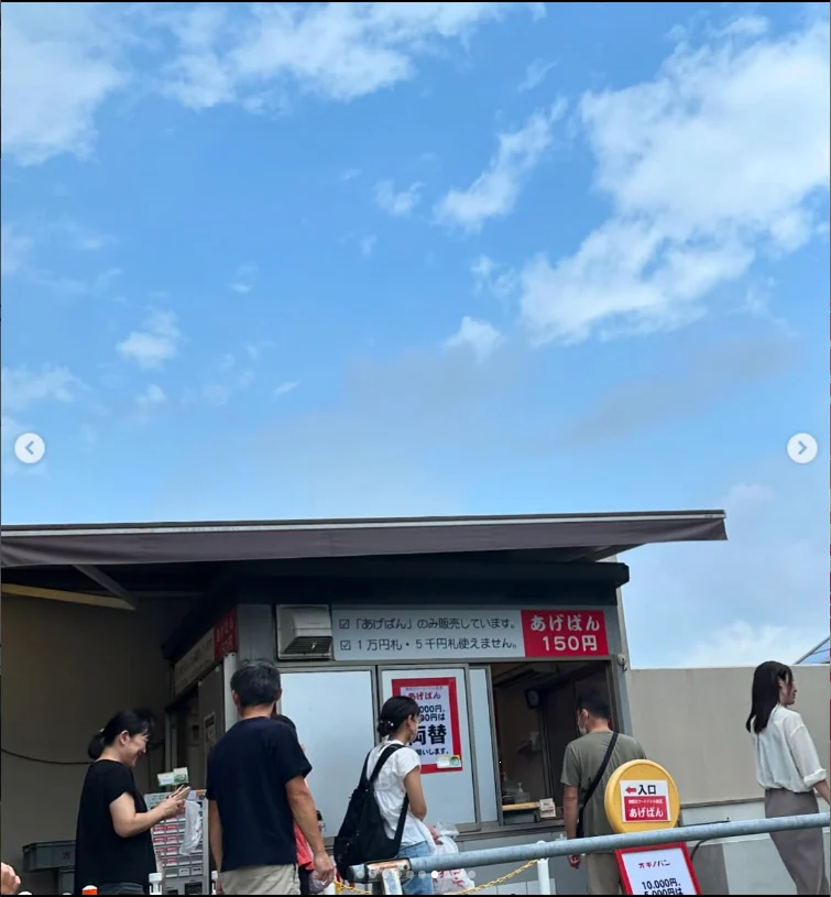 Fried bread and a farm visit the next day — Haruru’s photograph