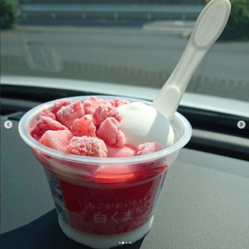 Shirokuma dessert — Haruru’s photograph