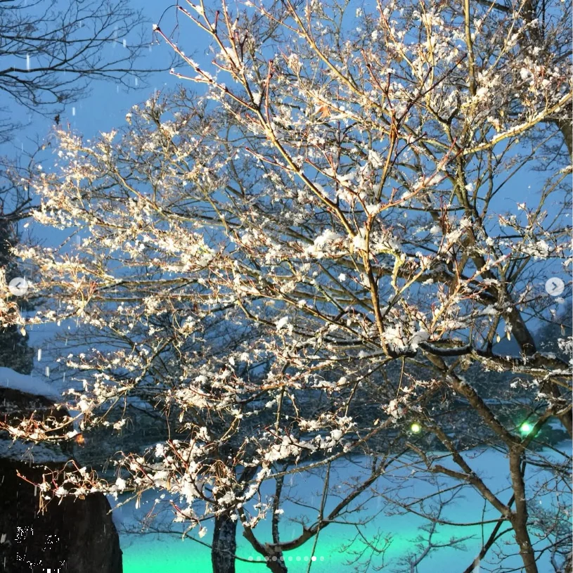 Remembering a stay with the heating on — Haruru’s photograph