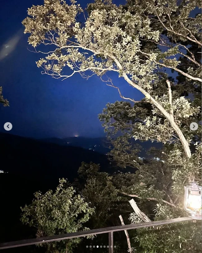 A wooded view and time to reset — Haruru’s photograph
