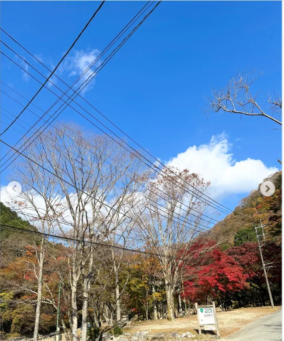 丹沢湖の秋色と、記念館の暮らしの道具 — ハルルの写真
