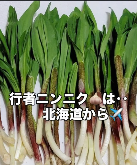 島ラッキョウと行者ニンニク、写真に添えた料理の言葉 — ハルルの写真