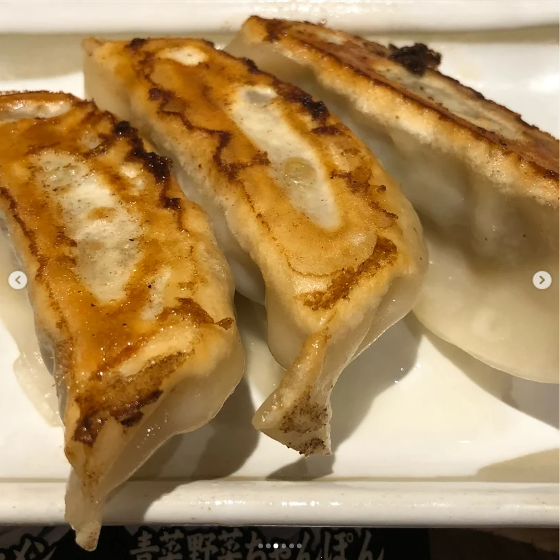 Fried rice and dumplings made it a full meal — Haruru’s photograph