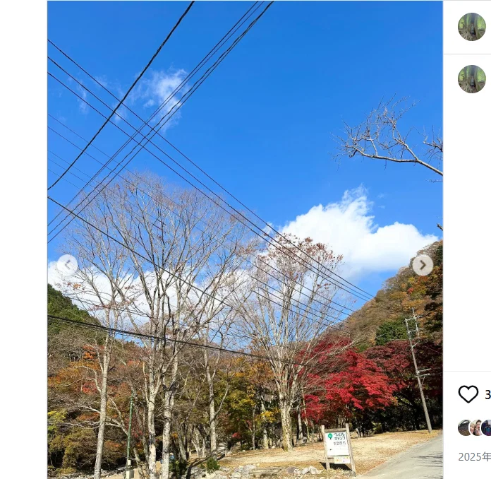 A cottage stay ahead for a group of eight — Haruru’s photograph