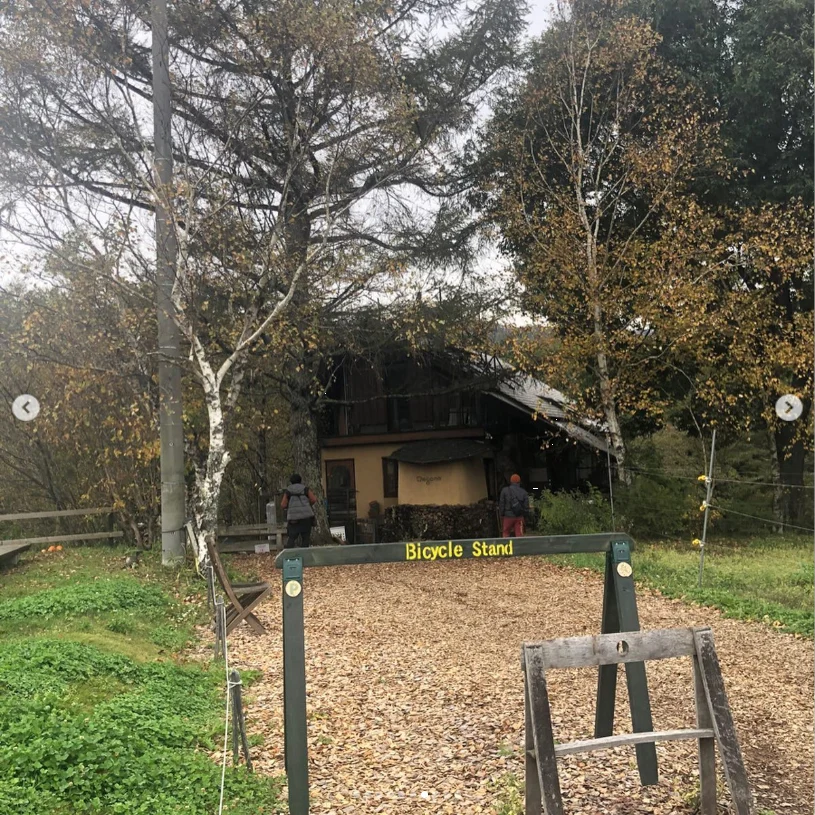 A bakery stop, autumn skies and more to browse — Haruru’s photograph