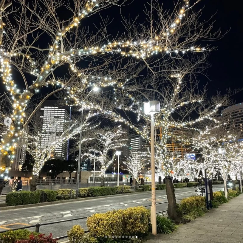 2021: a good dinner, but too little appetite — Haruru’s photograph